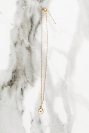 Find the perfect necklace you're looking for from Charme Silkiner! This beautiful 14K Gold Filled Chain Necklace with a hammered disc and delicate crystals is perfection. Great for layering or wearing alone the Tawney Necklace is the perfect piece of unique jewelry that everyone should own. 
